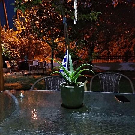 Mιχαλης Apartments パラミティア エクステリア 写真