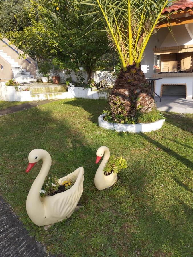 Mιχαλης Apartments パラミティア エクステリア 写真