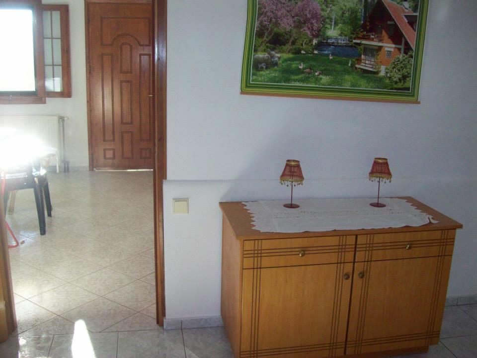 Mιχαλης Apartments パラミティア 部屋 写真